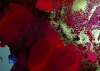 Magma.