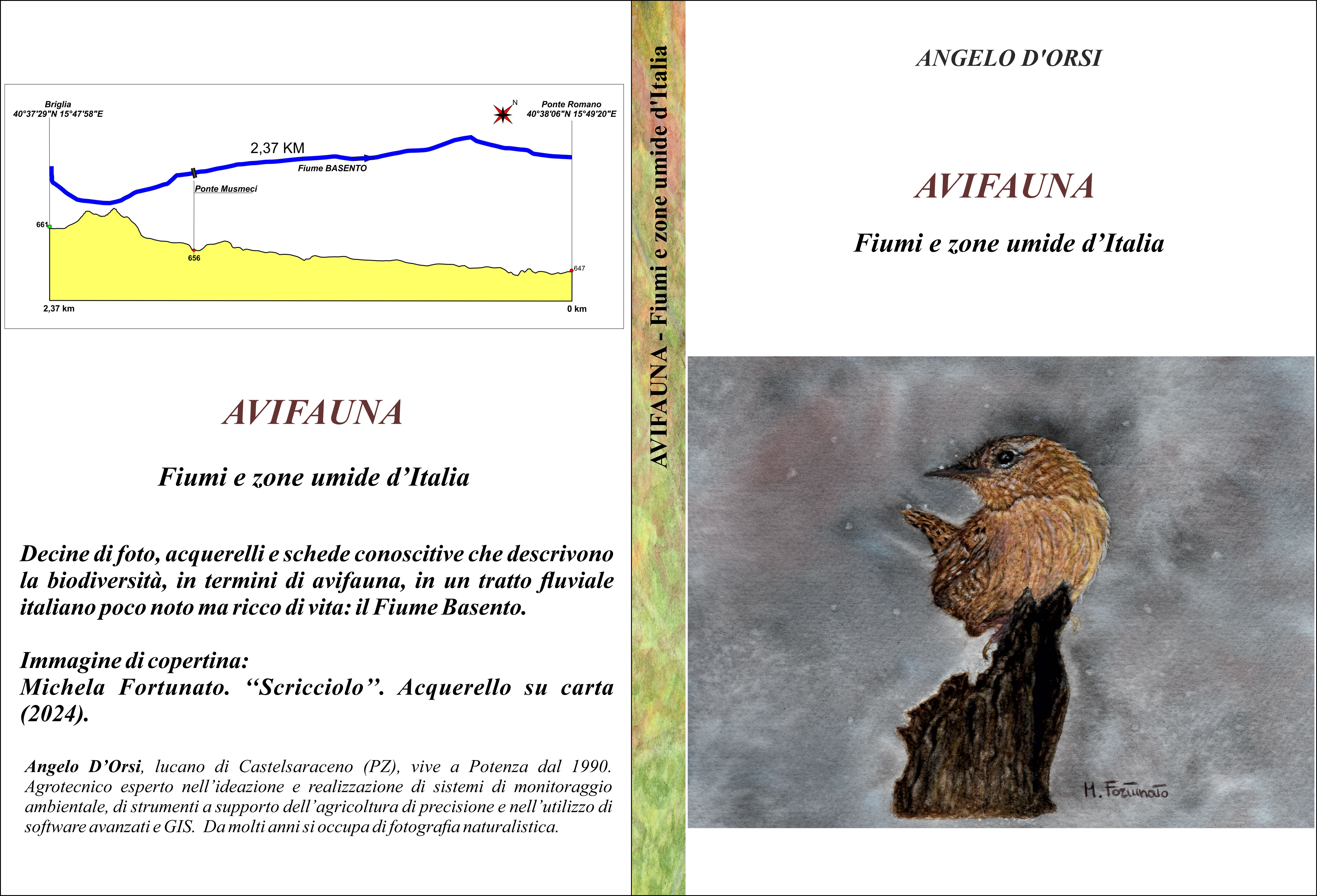 AVIFAUNA Fiumi e zone umide Copertina