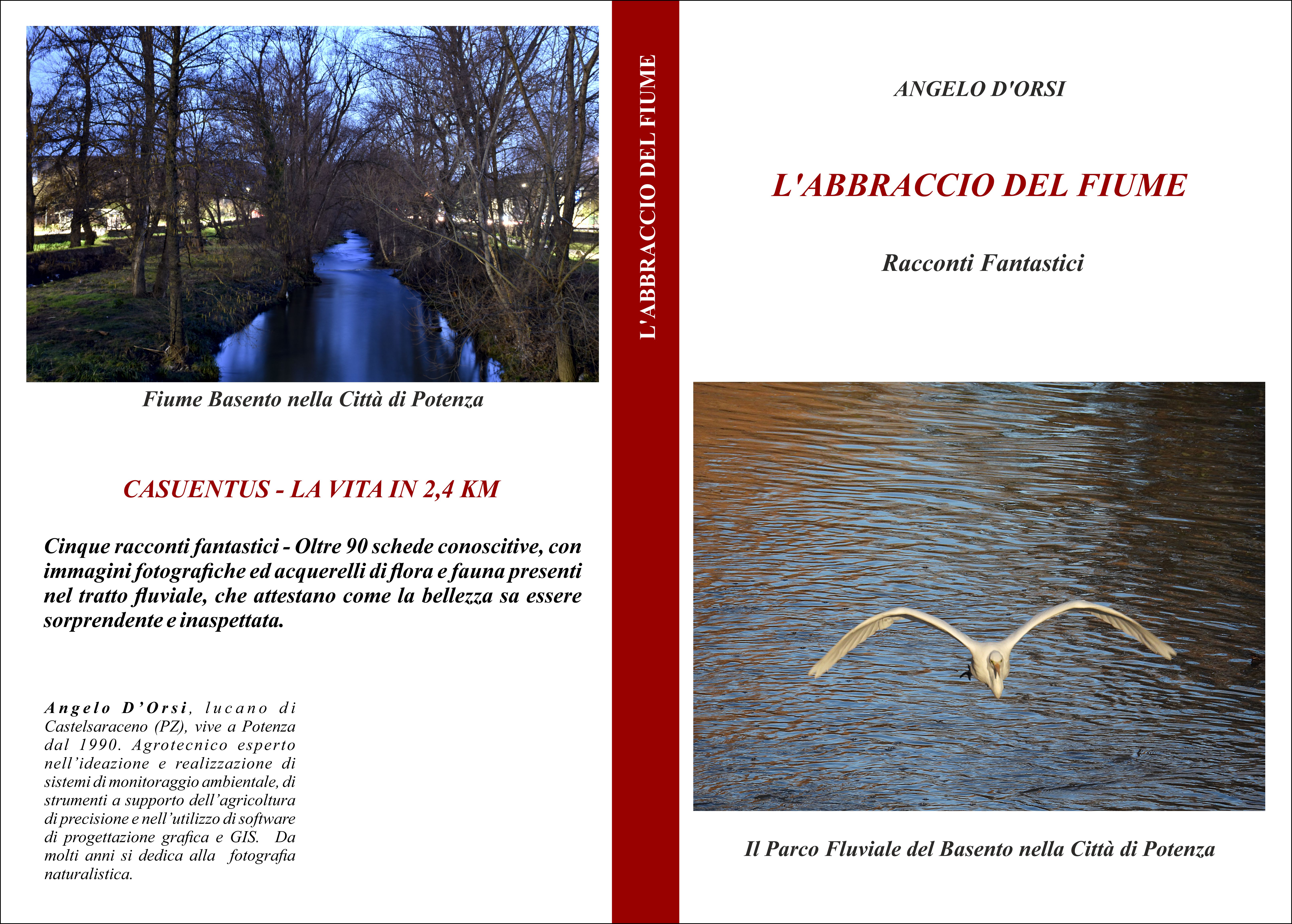 Copertina